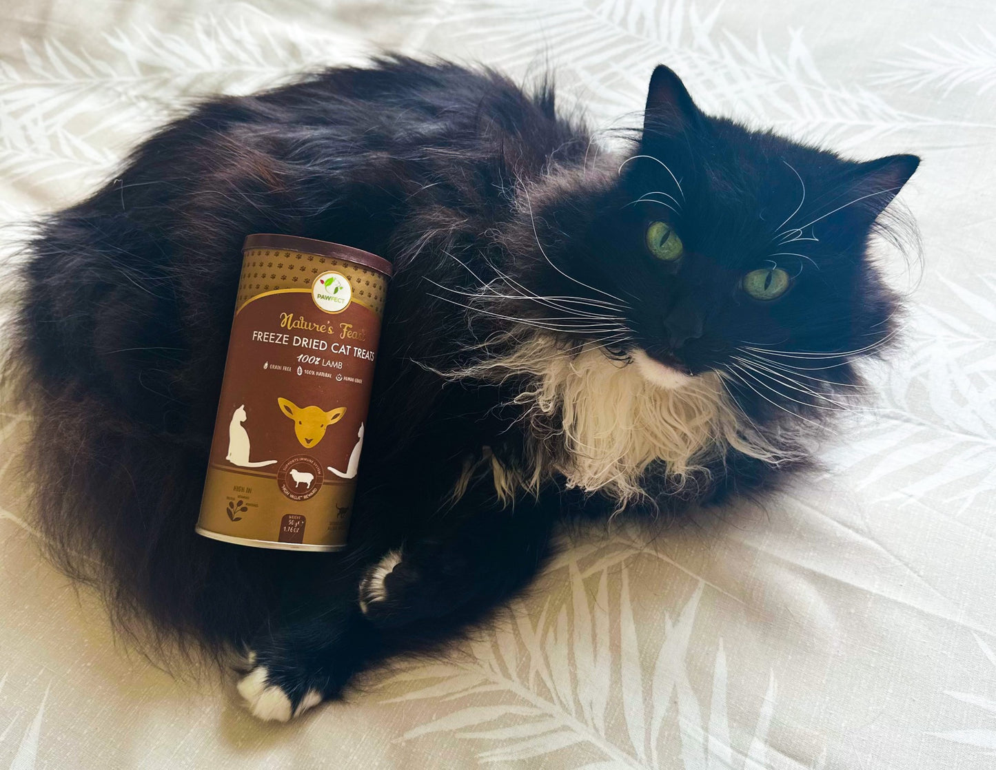 Pawfect's Dried Lamb Chunks - Cat Treats