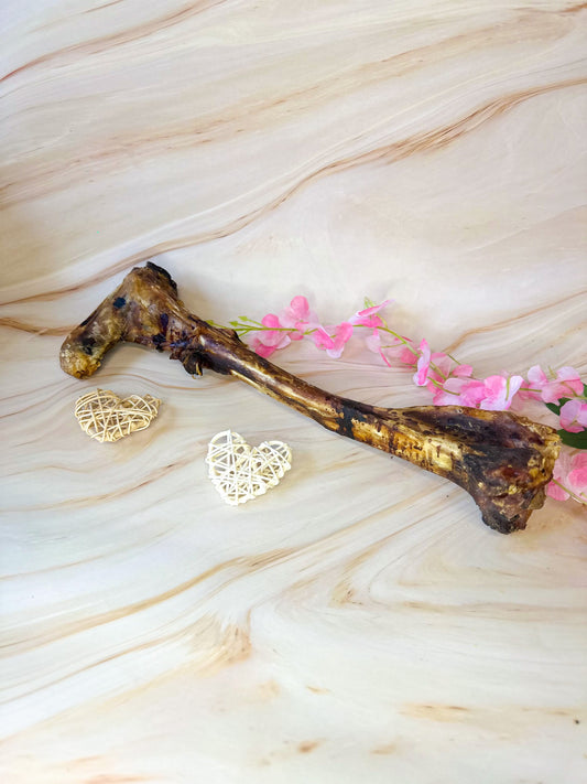 Venison Bones - Large