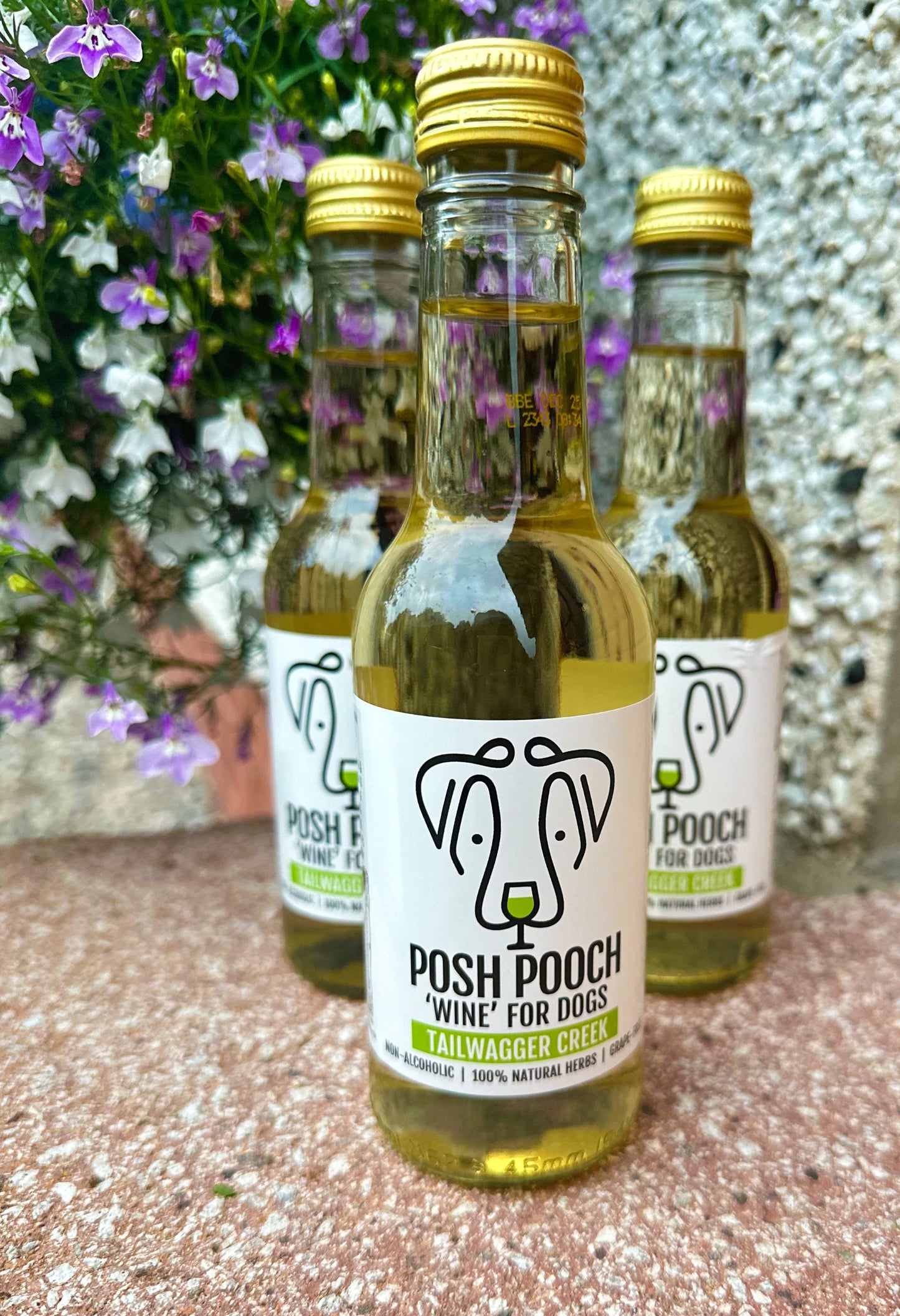Posh Pooch Doggy "Wine"