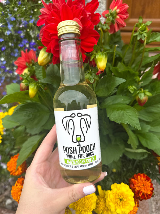 Posh Pooch Doggy "Wine"