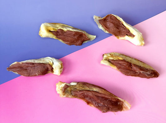 Rabbit Ear filled with Duck