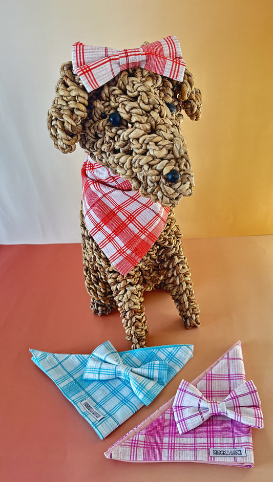 Colourful Check Bows
