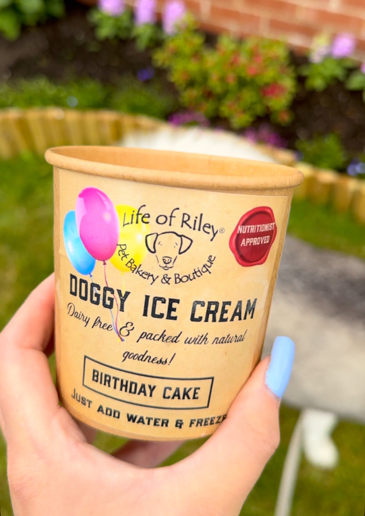 Doggy Ice Cream - Birthday Cake