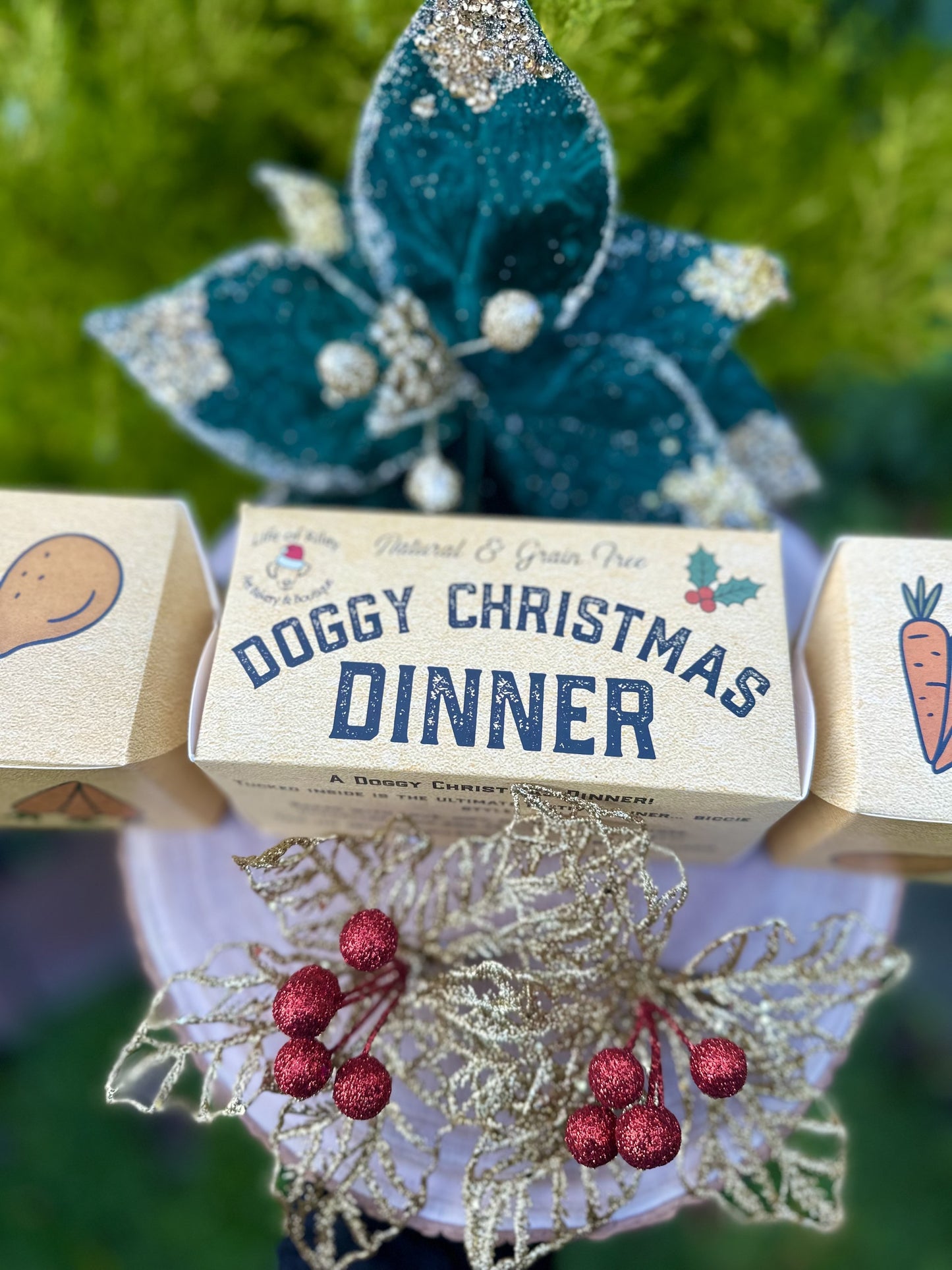 Doggy Christmas Roast Dinner Cracker