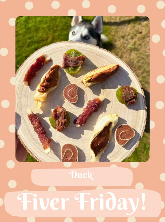 Fiver Friday - Duck