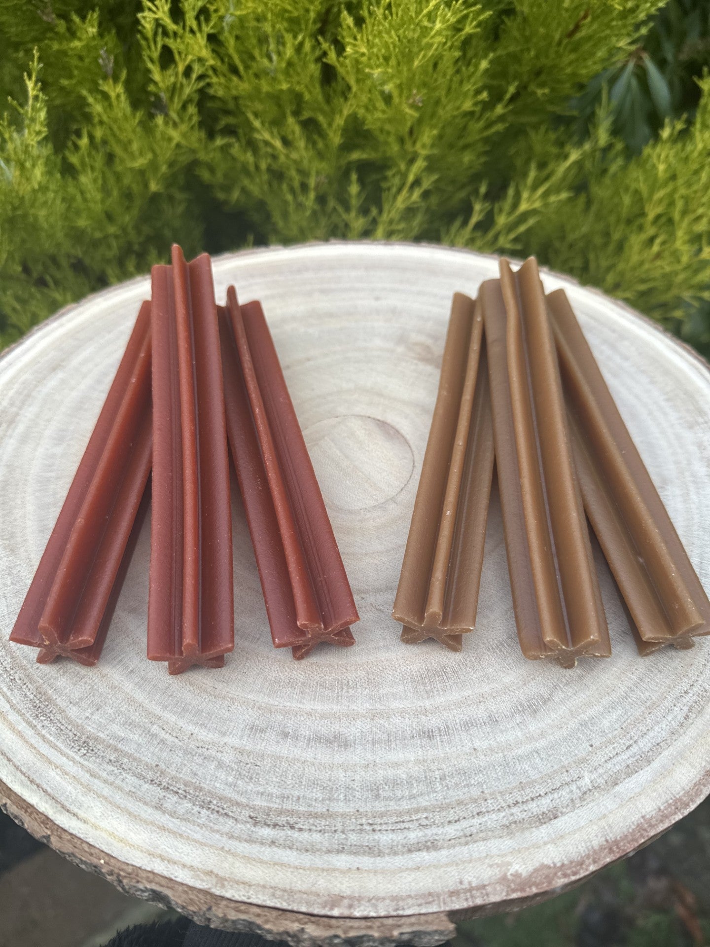Carrot & Pumpkin Dental Chews