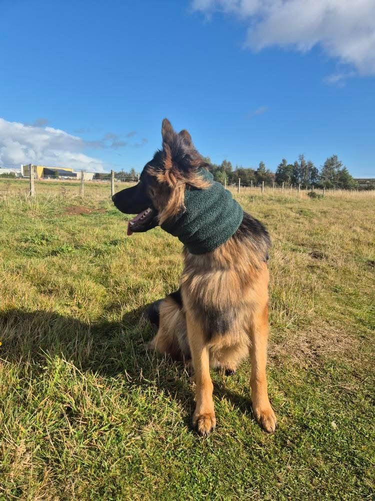 Forest Green Teddy Bear Snood