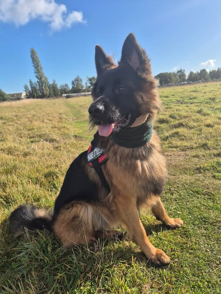 Forest Green Teddy Bear Snood