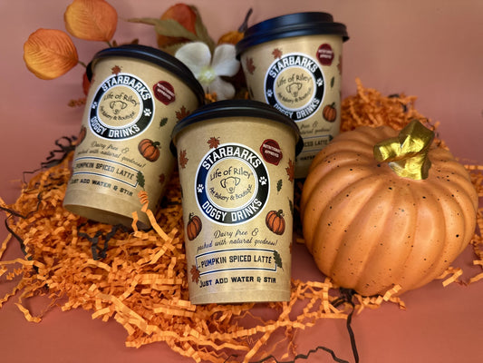 Starbarks - Pumpkin Spice Latte Doggy Drink 🎃