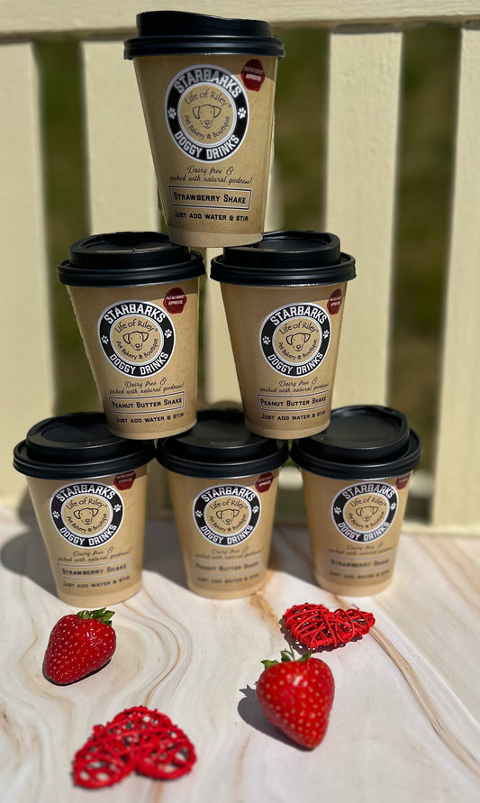 Starbarks Doggy Drink