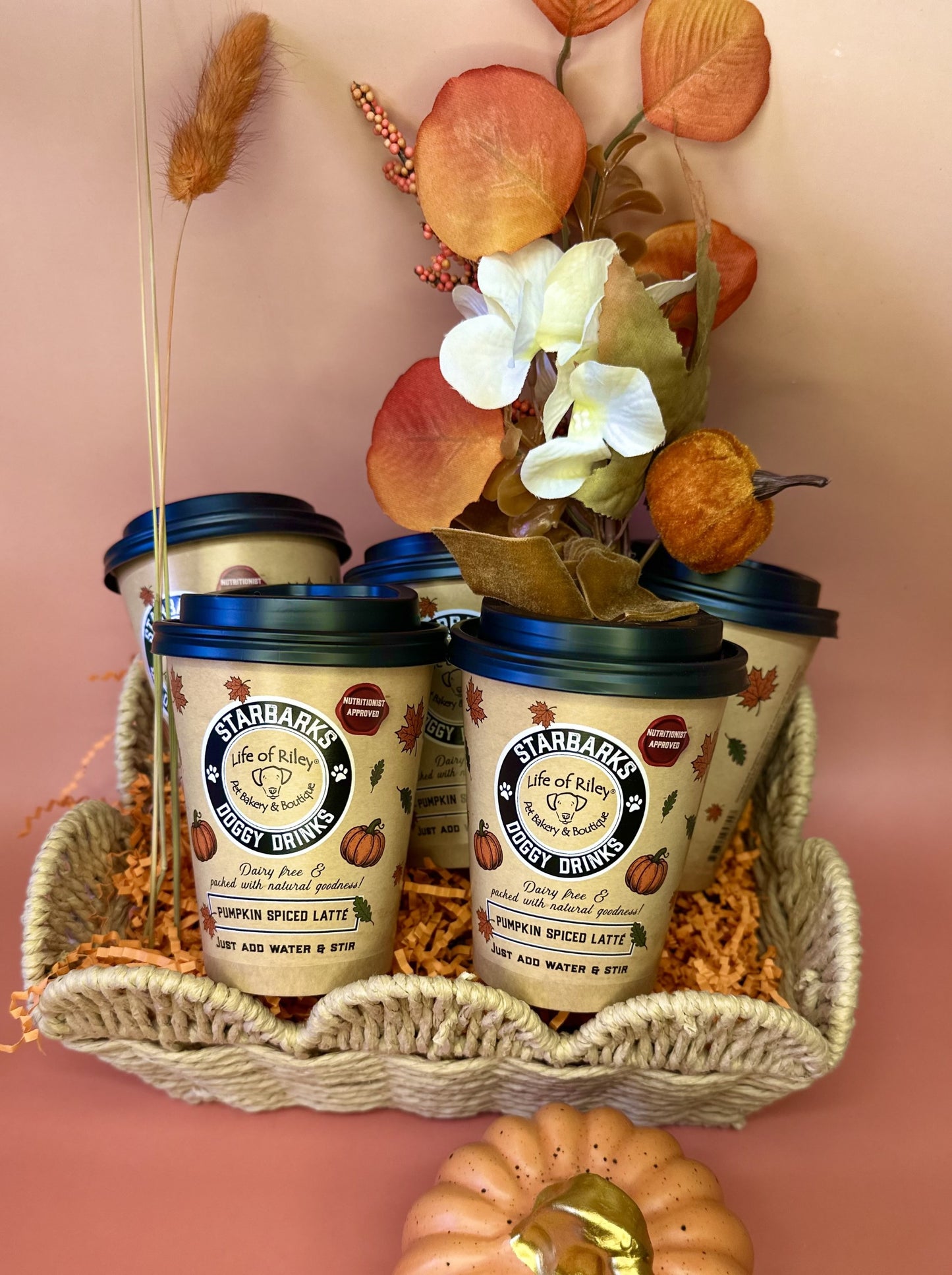 Starbarks - Pumpkin Spice Latte Doggy Drink 🎃