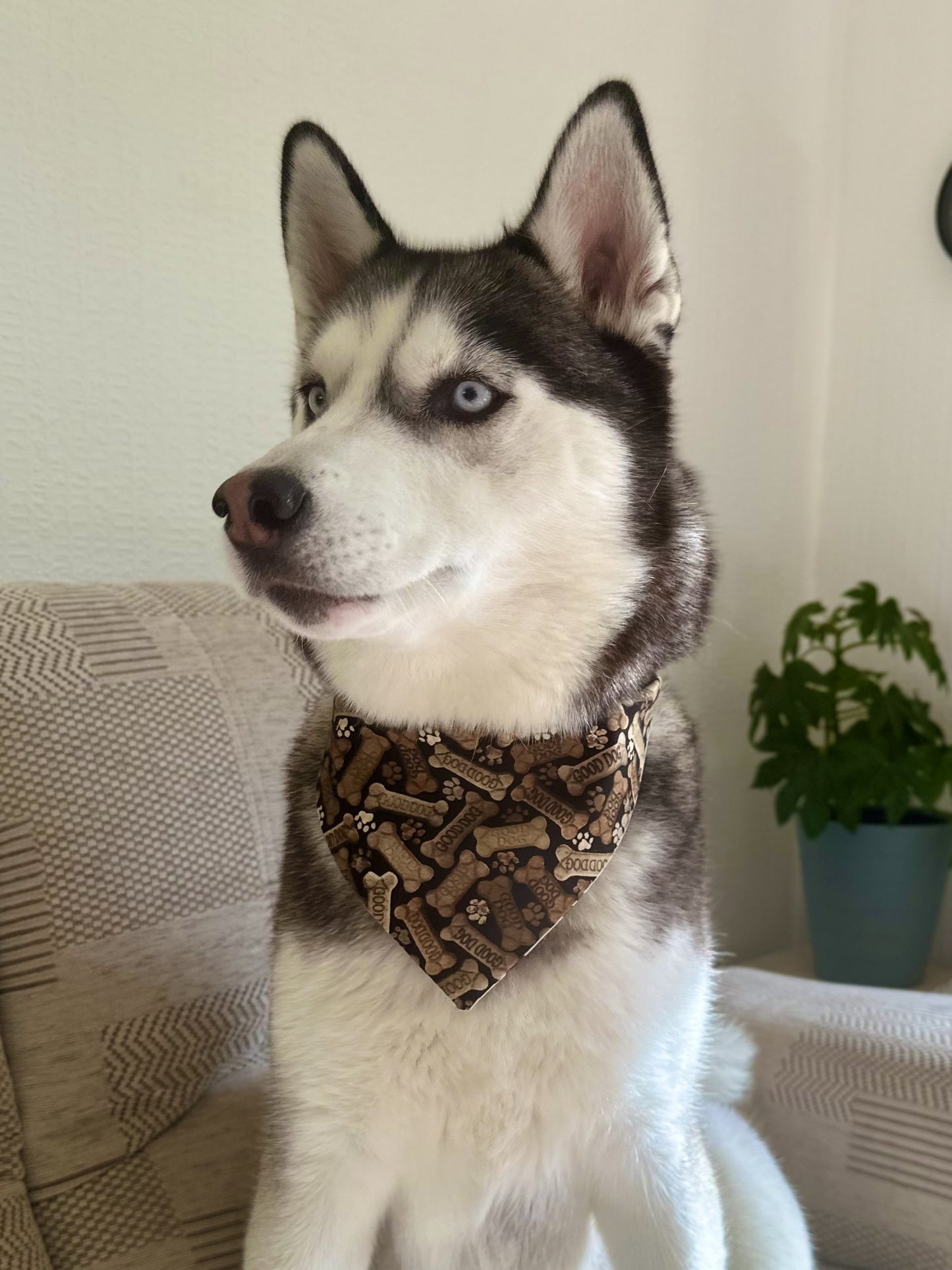 'Good Dog'/Paw Print Bandana